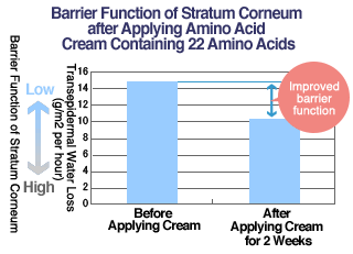 Barrier Function of Stratum Corneum after Applying Amino Acid Cream Containing 22 Amino Acids