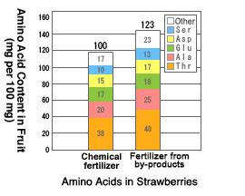 Amino Acid Content in Fruit