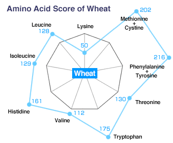 Amino Acid Score of Wheat