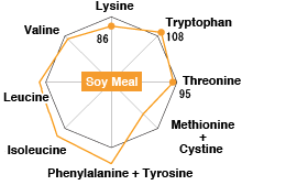 Soy Meal