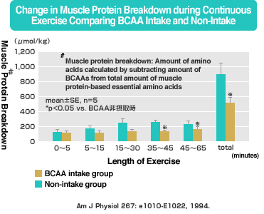 Change in Muscle Protein Breakdown during Continuous Exercise Comparing BCAA Intake and Non-Intake