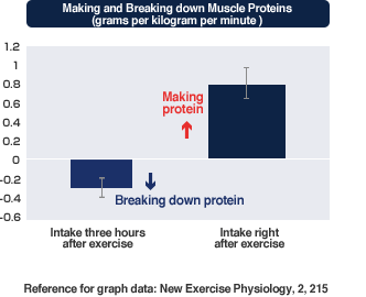 Making and Breaking down Muscle Proteins (grams per kilogram per minute)