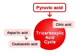 Pyruvic acid