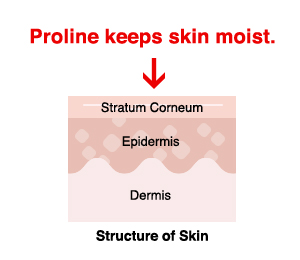 Proline keeps skin moist.