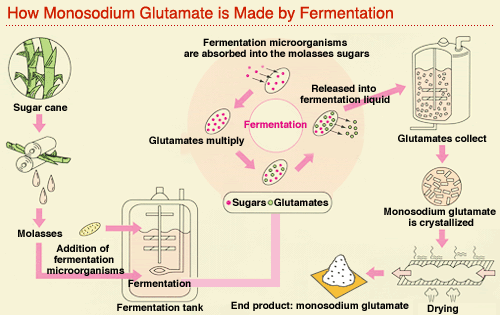 Food and Amino Acids