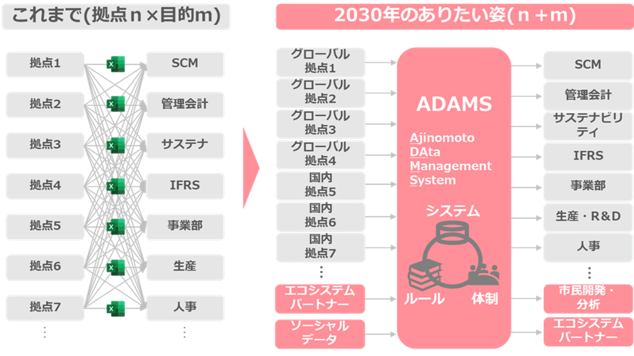 （３）データマネジメント