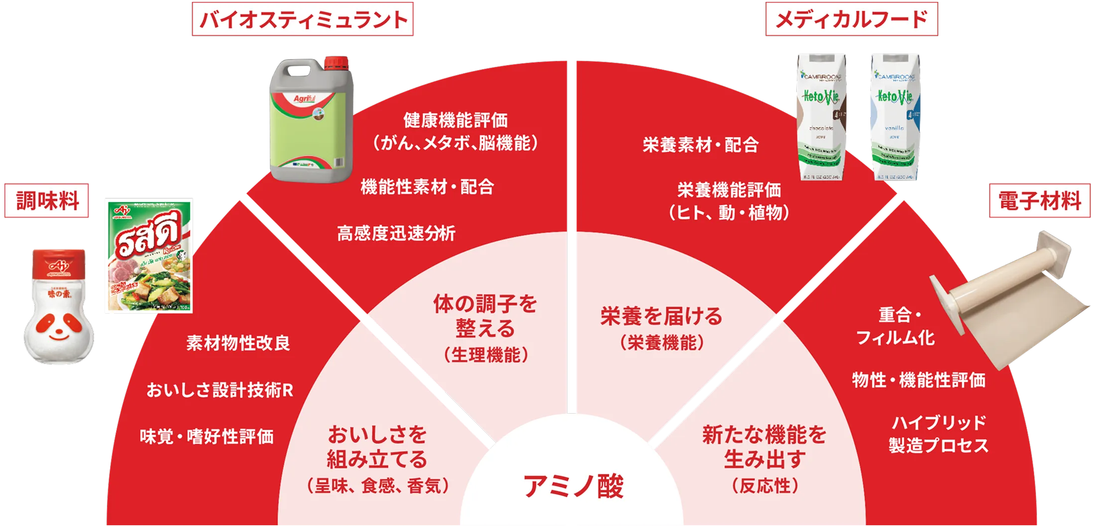 アミノ酸の概念図