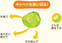 キャベツを使い切る！