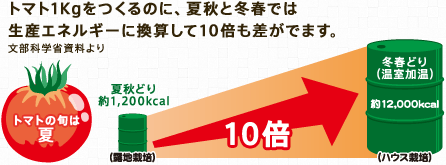 トマト1Kgをつくるのに、夏秋と冬春では生産エネルギーに換算して10倍も差が出ます。