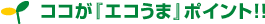 ココが『エコうま』ポイント！
