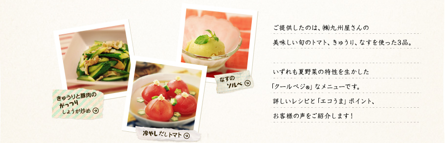 ご提供したのは、（株）九州屋さんの美味しい旬のトマト、きゅうり、なすを使った3品。いずれも夏野菜の特性を生かした「クールベジ®」なメニューです。詳しいレシピと「エコうま」ポイント、お客様の声をご紹介します！