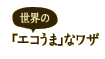 先生のエピソード