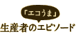 おススメ「エコうまレシピ」紹介