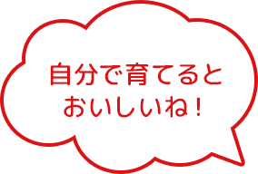 自分で育てるとおいしいね！