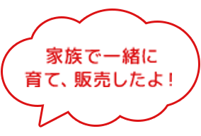 家族で一緒に育てたよ！