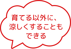 育てる以外に、涼しくすることもできる