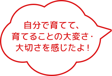 自分で育てることの大変さ・大切さを感じたよ！