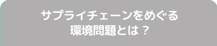 サプライチェーンをめぐる環境問題とは？