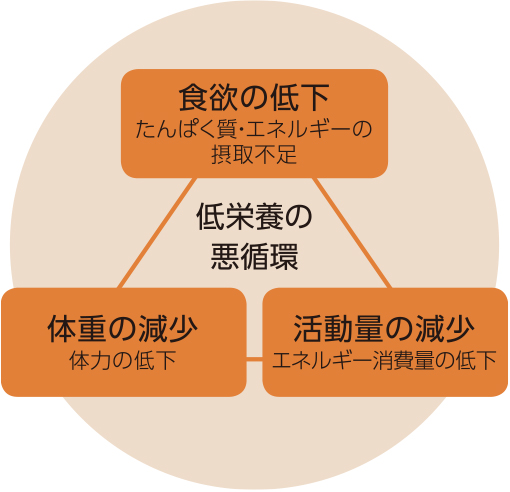 図：食欲の低下（たんぱく質・エネルギーの摂取不足、体重の減少（体力の低下）、活動量の減少（エネルギー消費量の低下）