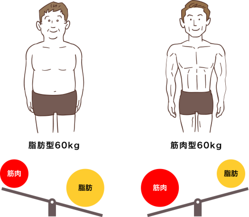 脂肪量と筋肉量