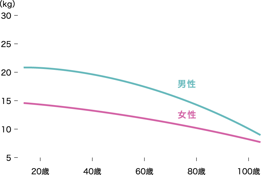 年代別筋肉量の比較 下肢筋肉量