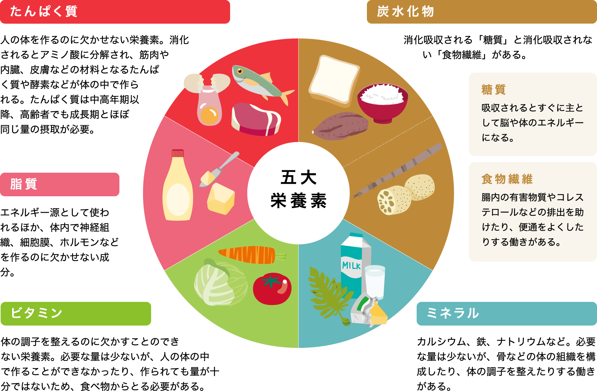 栄養