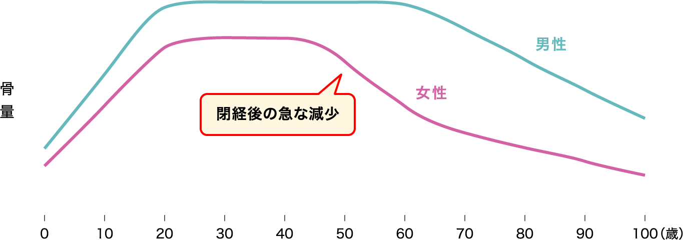 骨量の年齢変化の推移