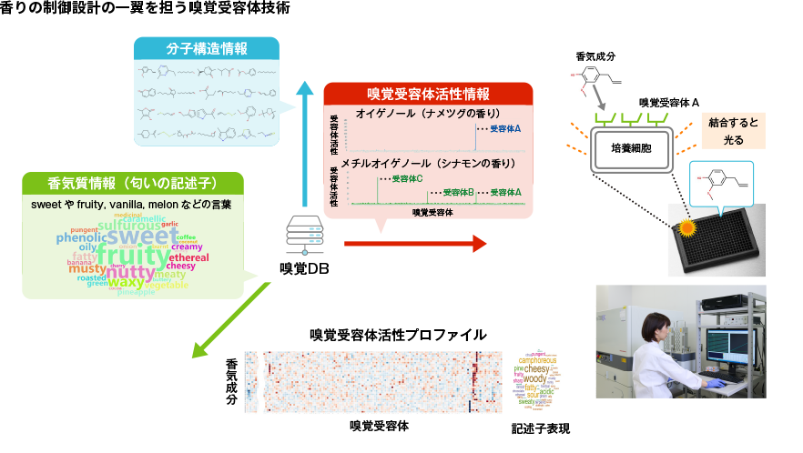 香りの制御設計の一翼を担う嗅覚受容体技術