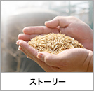 ストーリー