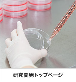 研究開発トップページ