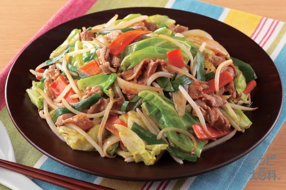 肉野菜いための盛り付け参考の料理写真です