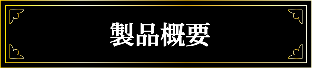 製品概要