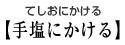 【手塩にかける】てしおにかける