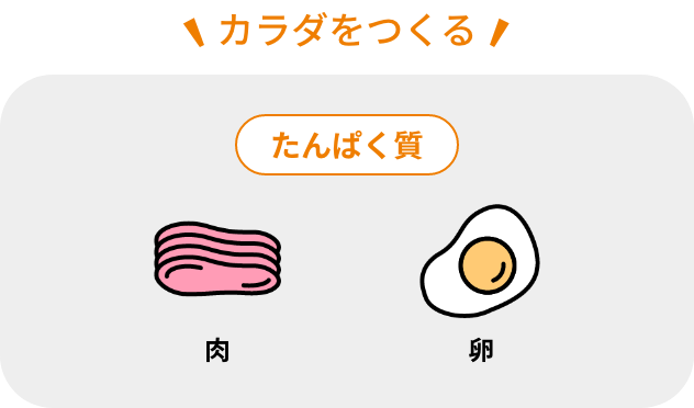カラダをつくる