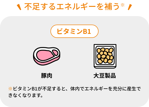 不足するエネルギーを補う※
