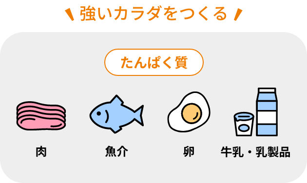 強いカラダをつくる