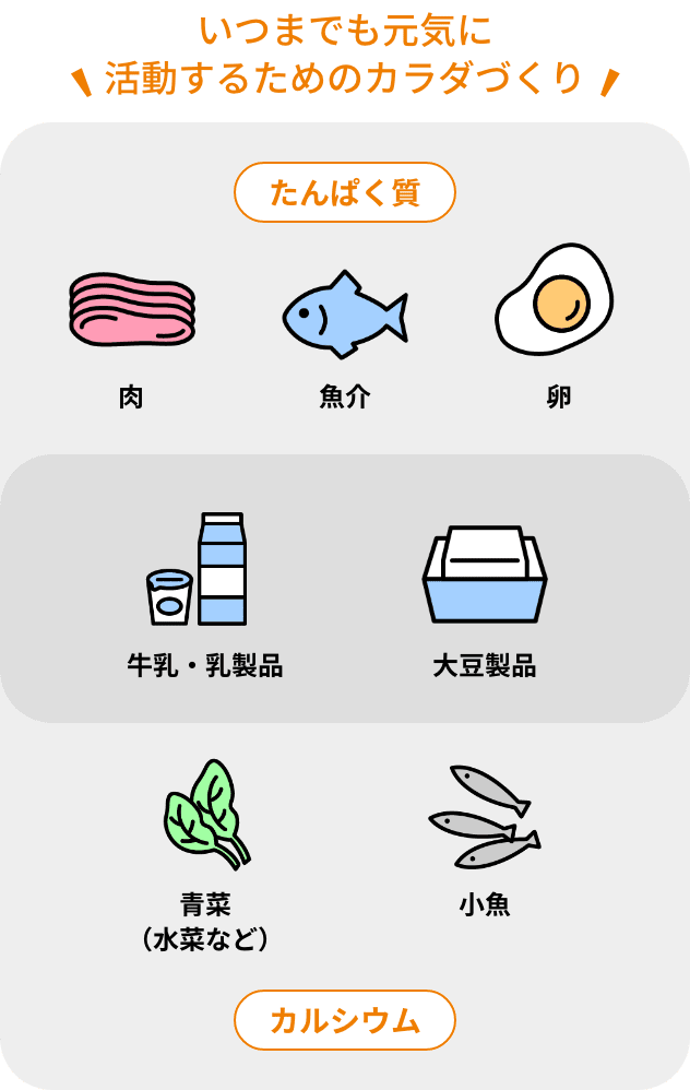 いつまでも元気に活動するためのカラダづくり