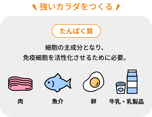 強いカラダをつくる