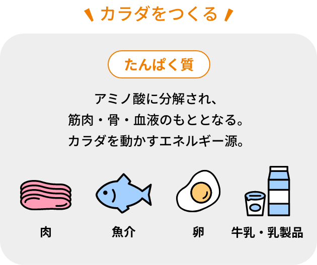カラダをつくる