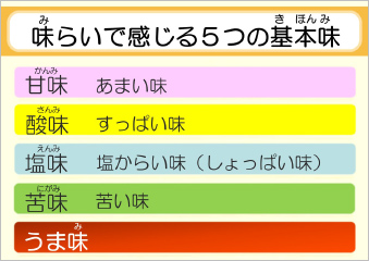 味らいで感じる5つの基本味