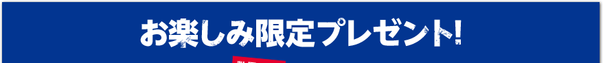 お楽しみ限定プレゼント！