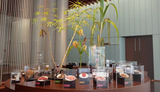タピオカの原料は「味の素®」の原料でもあった！