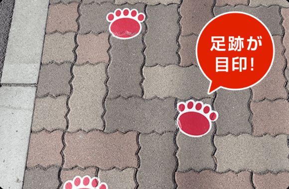 京急川崎駅からの道のりにあるアジパンダの足跡の写真
