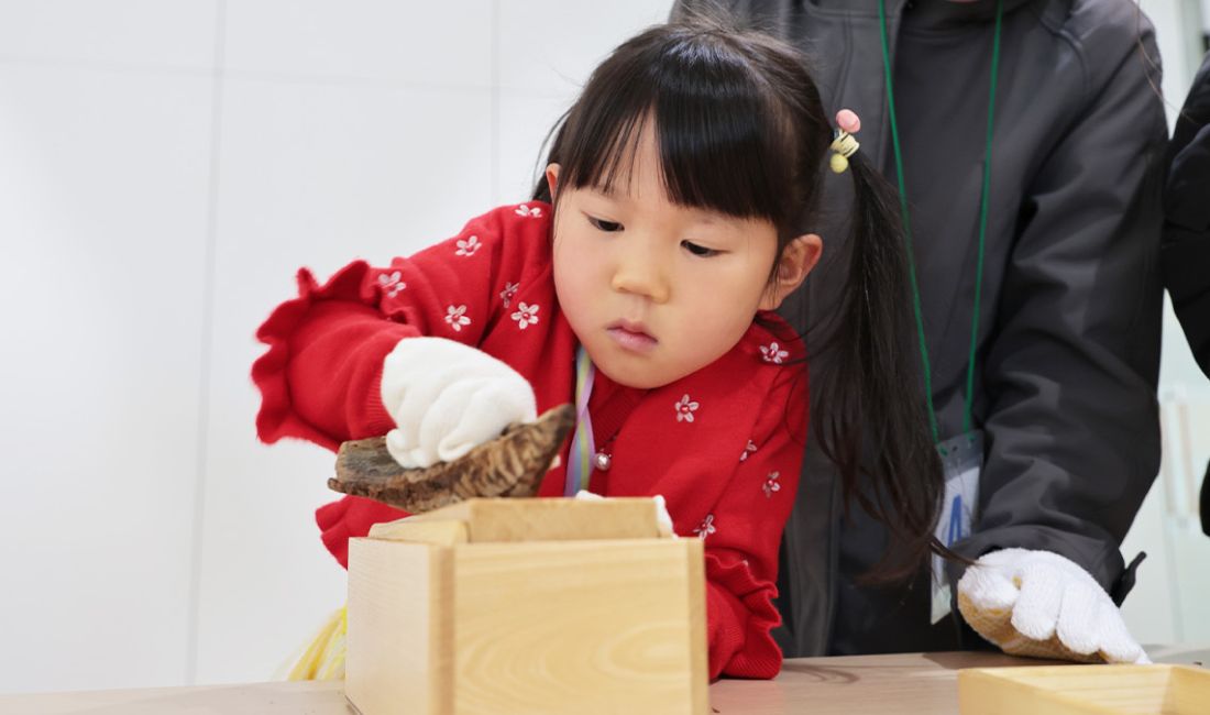 かつお節削り体験