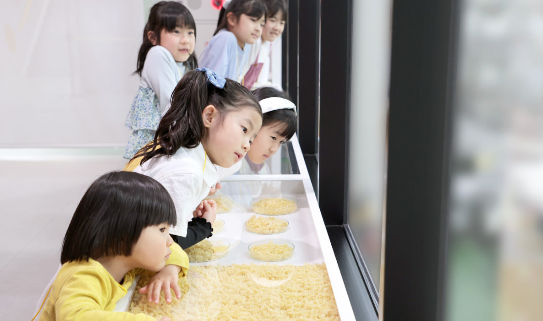 製造ラインの現場を見学