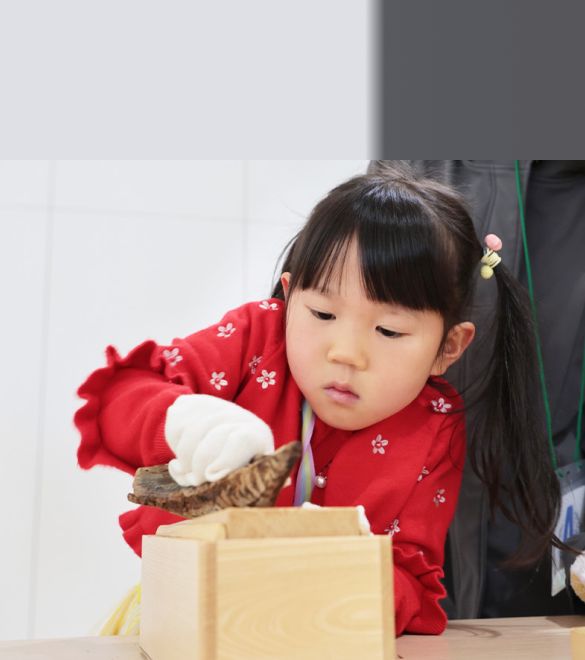 かつお節削り体験をする子供の画像