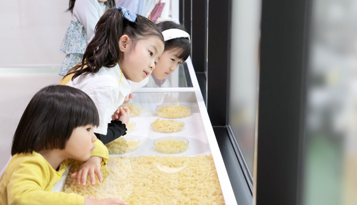工場見学をしている子どもたちの画像
