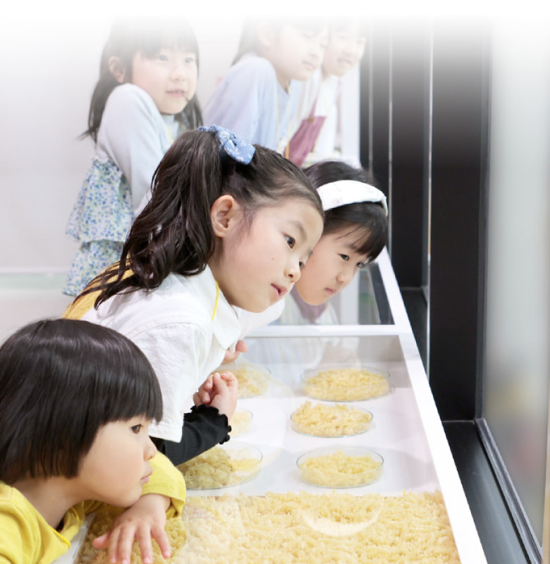 工場見学をしている子どもたちの画像