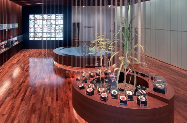うま味食材サンプル展示の画像