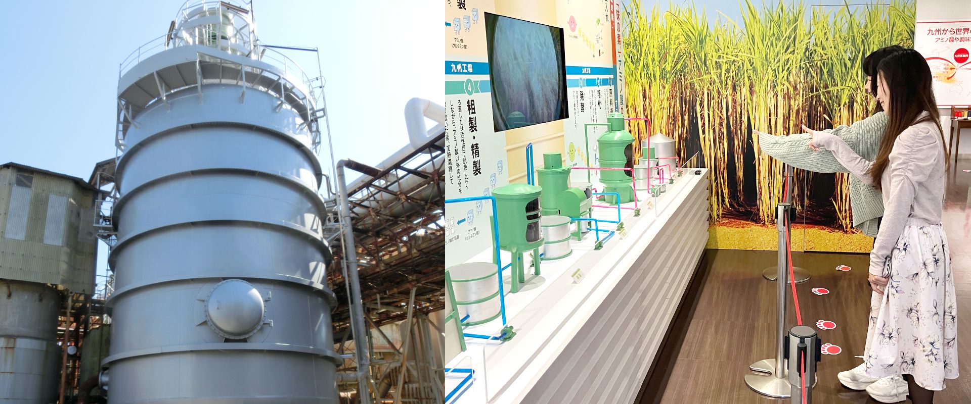 アミノ酸製造設備「発酵缶」の見学と展示見学